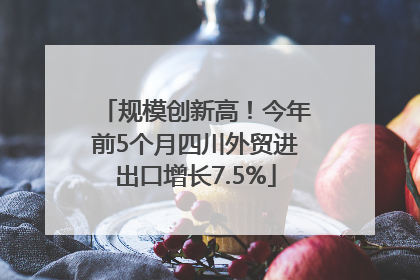 规模创新高！今年前5个月四川外贸进出口增长7.5%