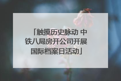 触摸历史脉动 中铁八局房开公司开展国际档案日活动