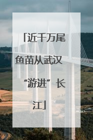 近千万尾鱼苗从武汉“游进”长江
