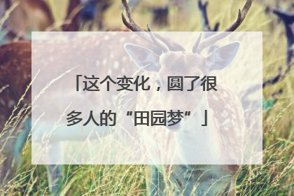 这个变化，圆了很多人的“田园梦”