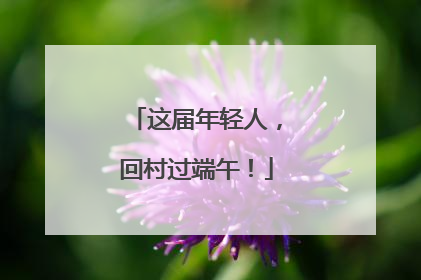 这届年轻人，回村过端午！