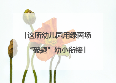这所幼儿园用绿茵场“破题”幼小衔接