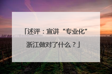 述评：宣讲“专业化” 浙江做对了什么？