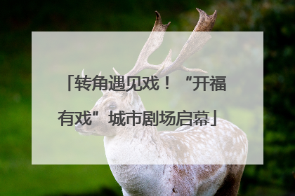转角遇见戏！“开福有戏”城市剧场启幕