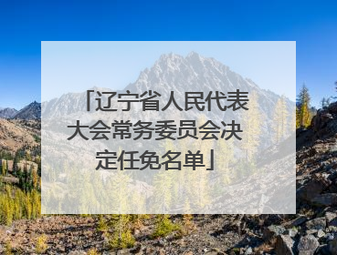 辽宁省人民代表大会常务委员会决定任免名单