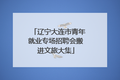 辽宁大连市青年就业专场招聘会搬进文旅大集