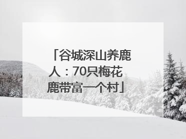 谷城深山养鹿人：70只梅花鹿带富一个村