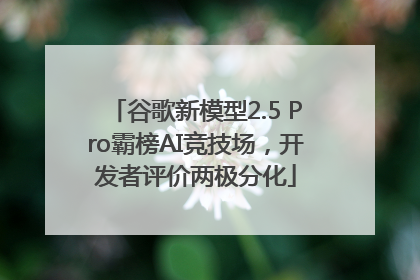 谷歌新模型2.5 Pro霸榜AI竞技场，开发者评价两极分化
