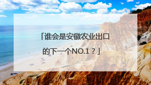 谁会是安徽农业出口的下一个NO.1？