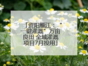 资阳雁江：“一键灌溉”万亩良田 全域灌溉项目7月投用