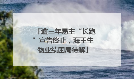 逾三年易主“长跑”宣告终止，海王生物业绩困局待解