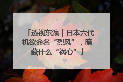 透视东瀛｜日本六代机欲命名“烈风”，暗藏什么“祸心”