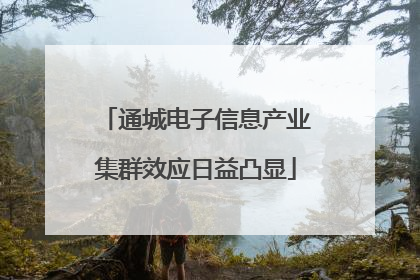 通城电子信息产业集群效应日益凸显