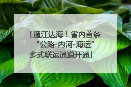 通江达海！省内首条“公路-内河-海运”多式联运通道开通