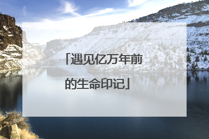 遇见亿万年前的生命印记