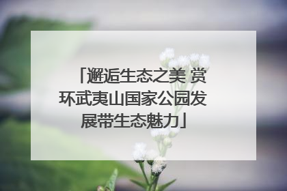 邂逅生态之美 赏环武夷山国家公园发展带生态魅力
