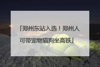 郑州东站入选！郑州人可带宠物猫狗坐高铁