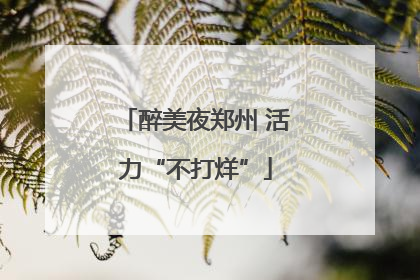 醉美夜郑州 活力“不打烊”