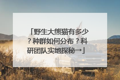 野生大熊猫有多少？种群如何分布？科研团队实地探秘→