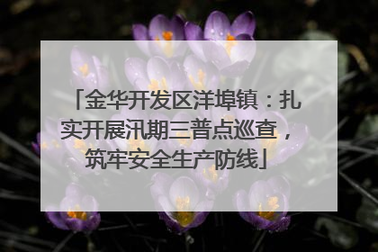 金华开发区洋埠镇：扎实开展汛期三普点巡查，筑牢安全生产防线