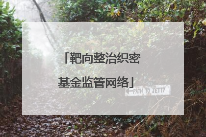 靶向整治织密基金监管网络