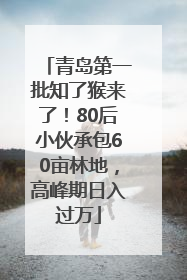 青岛第一批知了猴来了！80后小伙承包60亩林地，高峰期日入过万