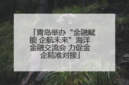 青岛举办“金融赋能 企航未来”海洋金融交流会 力促金企精准对接