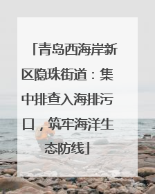 青岛西海岸新区隐珠街道：集中排查入海排污口，筑牢海洋生态防线