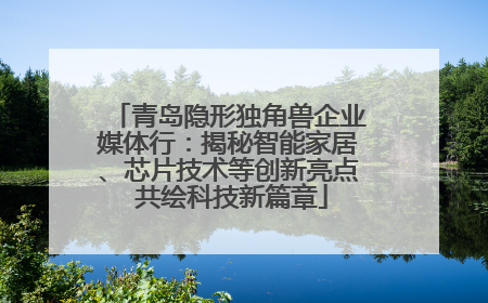 青岛隐形独角兽企业媒体行：揭秘智能家居、芯片技术等创新亮点 共绘科技新篇章