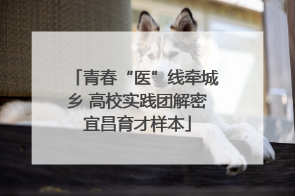 青春“医”线牵城乡 高校实践团解密宜昌育才样本