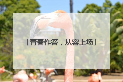 青春作答，从容上场