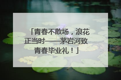 青春不散场，浪花正当时——茅岩河致青春毕业礼！