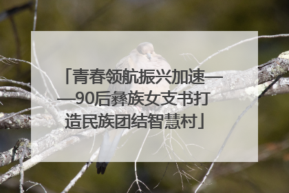 青春领航振兴加速——90后彝族女支书打造民族团结智慧村