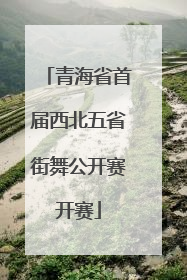 青海省首届西北五省街舞公开赛开赛