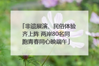 非遗展演、民俗体验齐上阵 两岸80名同胞青春同心映端午