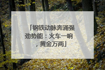 钢铁动脉奔涌强劲势能：火车一响，黄金万两