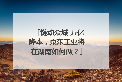 链动众城 万亿降本，京东工业将在湖南如何做？