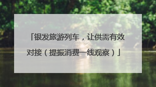 银发旅游列车，让供需有效对接（提振消费一线观察）