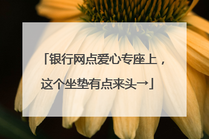 银行网点爱心专座上，这个坐垫有点来头→