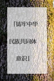 铸牢中华民族共同体意识