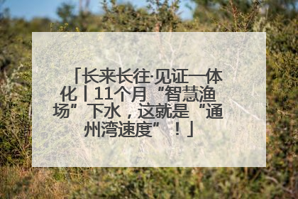 长来长往·见证一体化丨11个月“智慧渔场”下水，这就是“通州湾速度”！
