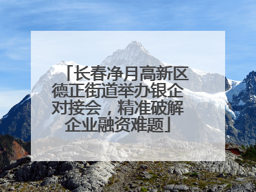 长春净月高新区德正街道举办银企对接会，精准破解企业融资难题