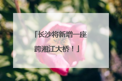 长沙将新增一座跨湘江大桥！
