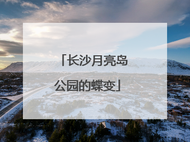 长沙月亮岛公园的蝶变