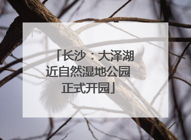 长沙：大泽湖近自然湿地公园正式开园
