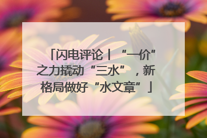 闪电评论丨“一价”之力撬动“三水”，新格局做好“水文章”