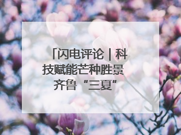 闪电评论｜科技赋能芒种胜景 齐鲁“三夏”画卷更壮美