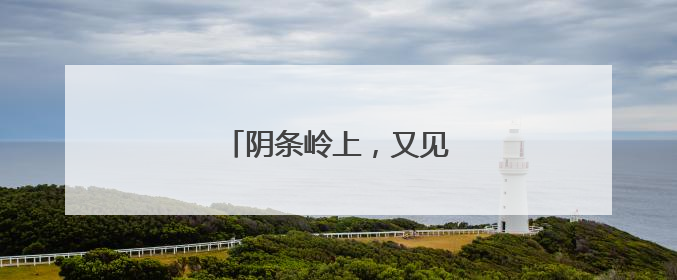 阴条岭上，又见漫山海棠开……