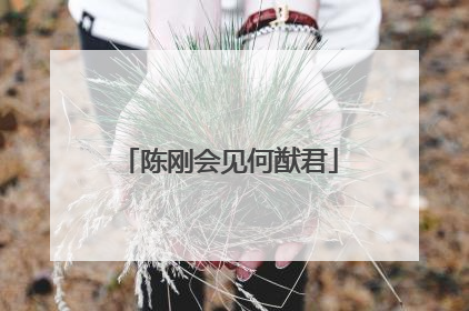 陈刚会见何猷君