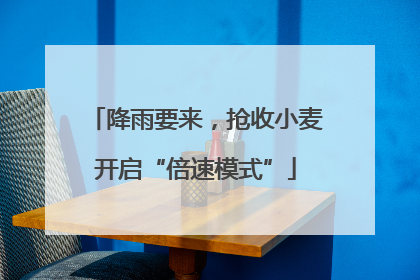 降雨要来，抢收小麦开启“倍速模式”